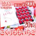 【お届け日指定可能】徳島県 ”佐那河内産 さくらももいちご” 超大粒20粒 化粧箱 送料無料