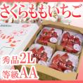 【お届け日指定可能】徳島県・佐那河内産 ”さくらももいちご” 秀品2L・大粒AA 4パック入り 幻のいちご 送料無料