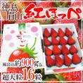 徳島県 ”眉山産紅ほっぺ” 超大粒 16粒入り 化粧箱 いちご【予約 12月以降】 送料無料