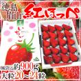 【お届け日指定可能】徳島県 ”眉山産 紅ほっぺ” 化粧箱 大粒20～24粒 いちご 送料無料