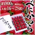 徳島県勝占産 ”べにかつら（さちのか）” 大粒 16～28粒 化粧箱入り いちご【予約 1月中旬以降】 送料無料