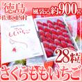 【お届け日指定可能】徳島県 ”佐那河内産 さくらももいちご” 28粒入り 化粧箱 送料無料