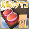 【お届け日指定可能】宮崎マンゴー ”太陽のタマゴ” 2Lサイズ 2玉 化粧箱 送料無料