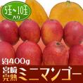 ”宮崎ミニマンゴー” 1pc 5～10玉入り 約400g 宮崎マンゴー パック入り【予約 3月下旬以降】