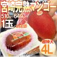 ”宮崎完熟マンゴー” 秀品 4Lサイズ 510g以上 パック入り 宮崎マンゴー【予約 4月以降】