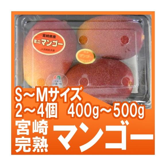 宮崎マンゴー” 中玉 S～Mサイズ 2～4玉前後 約400～500g パック