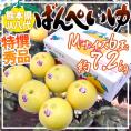 熊本県八代特産 ”晩白柚” ばんぺいゆ 秀品 Mサイズ 6玉 約7.2kg 化粧箱【予約 12月以降】 送料無料