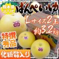 熊本県八代特産 ”晩白柚” ばんぺいゆ 秀品 Lサイズ 2玉 化粧箱入り【予約 12月以降】 送料無料