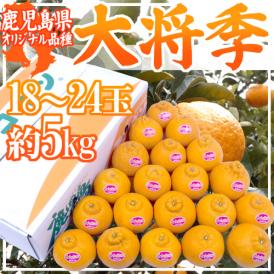 鹿児島産 ”デコポン 大将季” 秀品 18～24玉 約5kg【予約 1月下旬以降】 送料無料