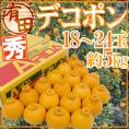 和歌山・有田産 ”デコポン” 秀品 18～24玉 約5kg【予約 1月中旬以降】 送料無料