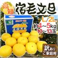 高知産 土佐文旦 ”宿毛文旦” 訳あり L～2Lサイズ 約4～5kg 産地箱【予約 2月以降】 送料無料