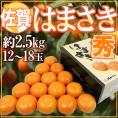 佐賀産 ”はまさき” 12～18玉 約2.5kg 化粧箱入り 麗紅【予約 2月以降】 送料無料