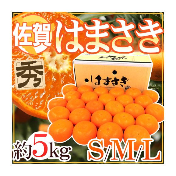 せとかの商品一覧|通販・お取り寄せ・販売【ぐるすぐり】 せとかの商品一覧|通販・お取り寄せ・販売【ぐるすぐり】