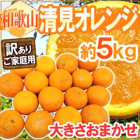 和歌山産 ”清見オレンジ” 訳あり 約5kg 大きさおまかせ【予約 3月以降】 送料無料