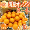 和歌山産 ”清見オレンジ” 秀品 2L～4L 約10kg【予約 3月以降】 送料無料