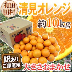 和歌山・田村産 ”清見オレンジ” 訳あり 約10kg 大きさおまかせ【予約 3月中下旬以降】 送料無料