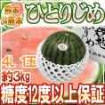 熊本県 JA鹿本 ”小玉すいか ひとりじめ” 秀・優 4L1玉 約3kg 化粧箱【予約 4月以降】 送料無料