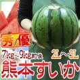 熊本県産 ”熊本すいか” 秀・優品 2L～3Lサイズ 約7kg～9kg【予約 4月以降】 送料無料