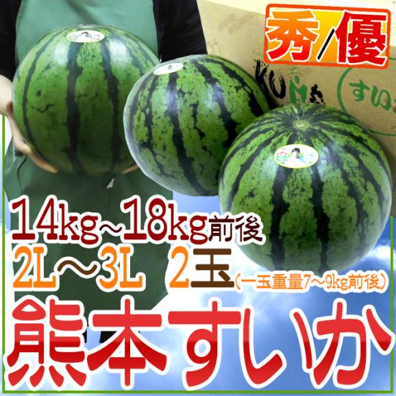 熊本県産 ”熊本すいか” 秀・優品 2L～3Lサイズ 2玉 約14kg～18kg