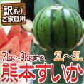 熊本県産 ”熊本すいか” 訳あり 2L~3Lサイズ 1玉 約7kg~9kg【予約 4月以降】 送料無料