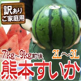 熊本県産 ”熊本すいか” 訳あり 2L～3Lサイズ 1玉 約7kg～9kg【予約 4月以降】 送料無料