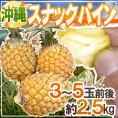 ”沖縄産 スナックパイン” 3～5玉前後 約2.5kg【予約 3月下旬以降】 送料無料
