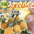 ”沖縄産 スナックパイン” 4～6玉前後 約3kg【予約 3月下旬以降】 送料無料