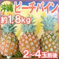 ”沖縄産 ピーチパイン” 2～4玉前後 約1.8kg【予約 3月下旬以降】 送料無料