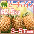 ”沖縄産 ピーチパイン” 3～5玉前後 約2.5kg【予約 3月下旬以降】 送料無料
