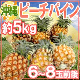 沖縄産 ”ピーチパイン” 6～8玉前後 約5kg【予約 3月下旬以降】 送料無料