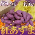千葉・茨城県産 ”紅あずま” Sサイズ 約5kg さつまいも【予約 入荷次第発送】