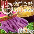徳島県産 ”鳴門金時 里むすめ” 秀品 M～Lサイズ 約5kg さつまいも【予約 入荷次第発送】