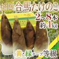 福岡 合馬産 ”たけのこ” 2～8本 約4kg 化粧箱入り 等級 黄 緑【予約 3月下旬以降】 送料無料