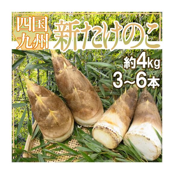 新たけのこ” 秀品 3～6本 約4kg 西日本産（九州・四国）【予約 3