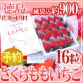 徳島県佐那河内産 ”さくらももいちご” 特大16粒 化粧箱【予約 12月以降】 送料無料