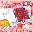徳島県佐那河内産 ”さくらももいちご” 大粒24粒 化粧箱【予約 12月以降】 送料無料