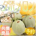北海道 ”夕張メロン” 共撰・良品 4～6玉 約8kg【予約 7月中下旬以降】 送料無料