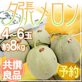 北海道 ”夕張メロン” 共撰・良品 4〜6玉 約8kg【予約 7月中下旬以降】 送料無料