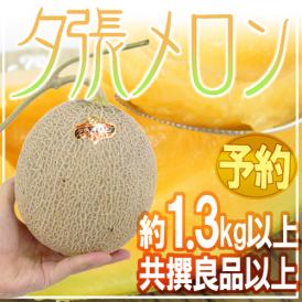 北海道 ”夕張メロン” 共撰・良品 約1.3kg以上《6玉購入で送料無料》【予約 7月中下旬以降】