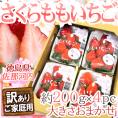 徳島県佐那河内村 ”さくらももいちご” 訳あり 約200g×4pc ワケ待ち【予約 12月以降】 送料無料