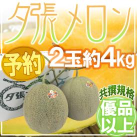 北海道 ”夕張メロン” 共撰・優品 2玉 約4kg【予約 7月中下旬以降】 送料無料