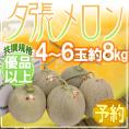 北海道 ”夕張メロン” 共撰・優品 4～6玉 約8kg【予約 7月中下旬以降】 送料無料