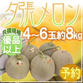 北海道 ”夕張メロン” 共撰・優品 4〜6玉 約8kg【予約 7月中下旬以降】 送料無料