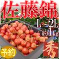 &rdquo;山形産 さくらんぼ 佐藤錦&rdquo; 秀品 大粒 L～2Lサイズ 約1kg【予約 6月下旬以降】 送料無料