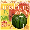 高知県夜須町 ”ルナピエナ” 1玉 約6～7kg 金時、祭ばやしなど【予約 4月末以降】 送料無料