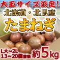 ”北海道 北見F1 たまねぎ” 秀品 約5kg 大玉L〜LLサイズ 玉葱【予約 8月末以降】 送料無料