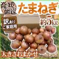”たまねぎ” 訳あり 約5kg 九州・四国・淡路・北海道 産地厳選【予約 入荷次第発送】 送料無料