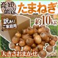 ”たまねぎ” 訳あり 約10kg 九州・四国・淡路・北海道 産地厳選【予約 入荷次第発送】 送料無料