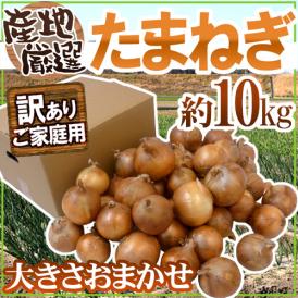 ”たまねぎ” 訳あり 約10kg 九州・四国・淡路・北海道 産地厳選【予約 入荷次第発送】 送料無料