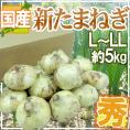 ”新たまねぎ” 秀品 L/2Lサイズ 約5kg 九州・四国・淡路・北海道 産地厳選【予約 3月下旬以降】 送料無料